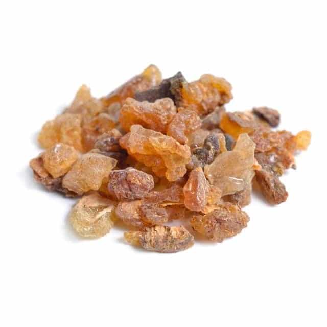 AGAR Limited - Gums - Square - 03